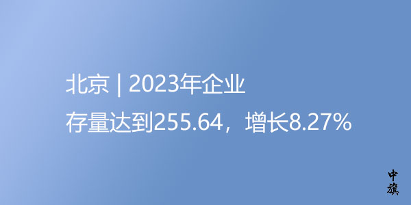 2023年北京企业存量图