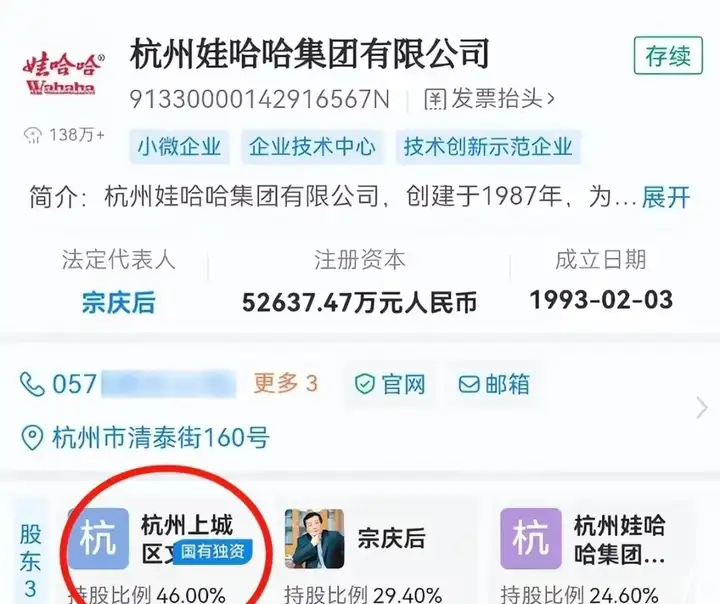 杭州娃哈哈集团有限公司占股比例.png