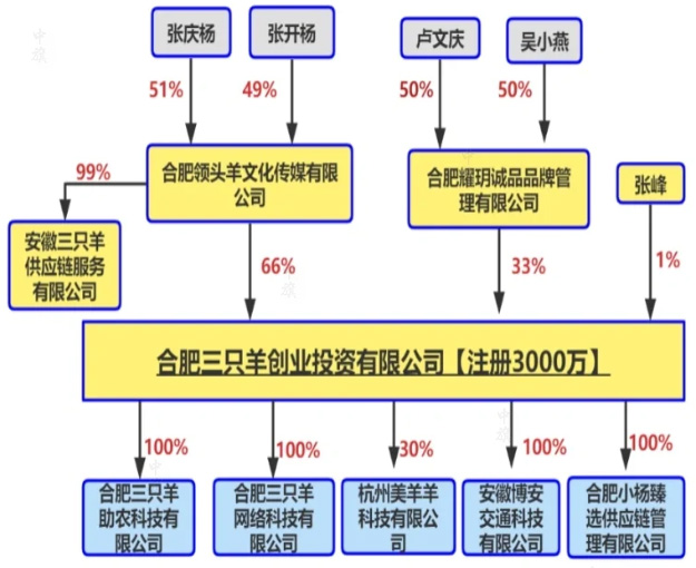 疯狂小杨哥的主体公司.jpg