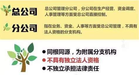 总公司和分公司的财产关系.jpg