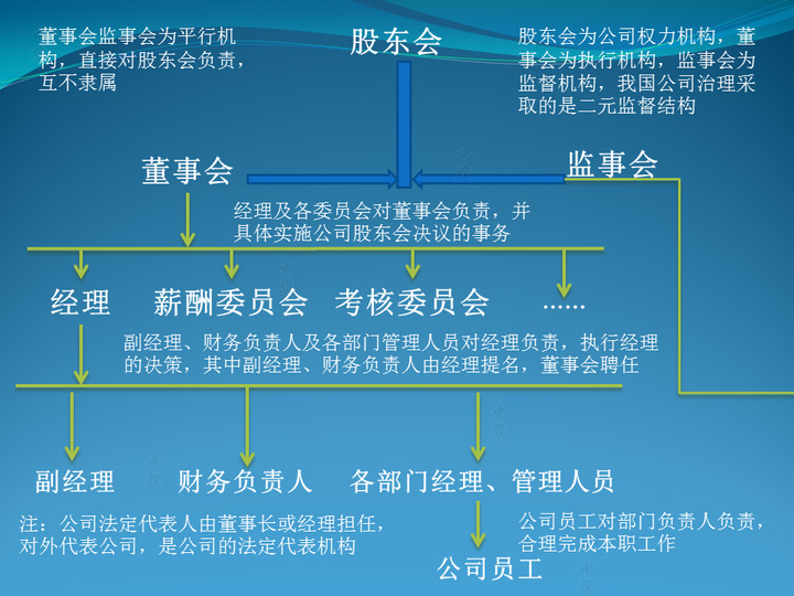 公司权利架构图.jpg