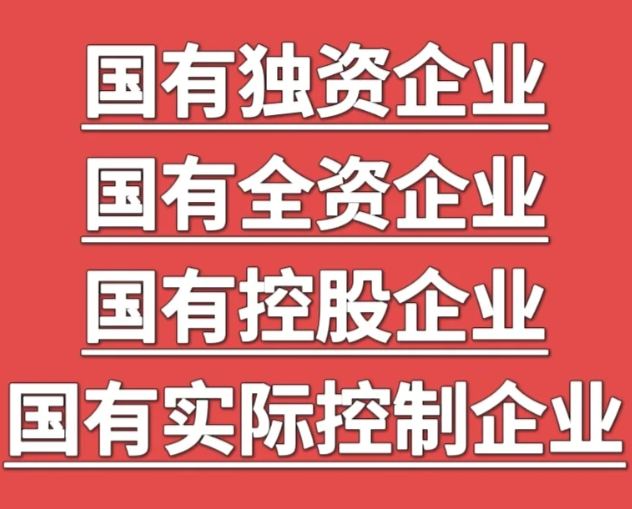 国有企业类型.png