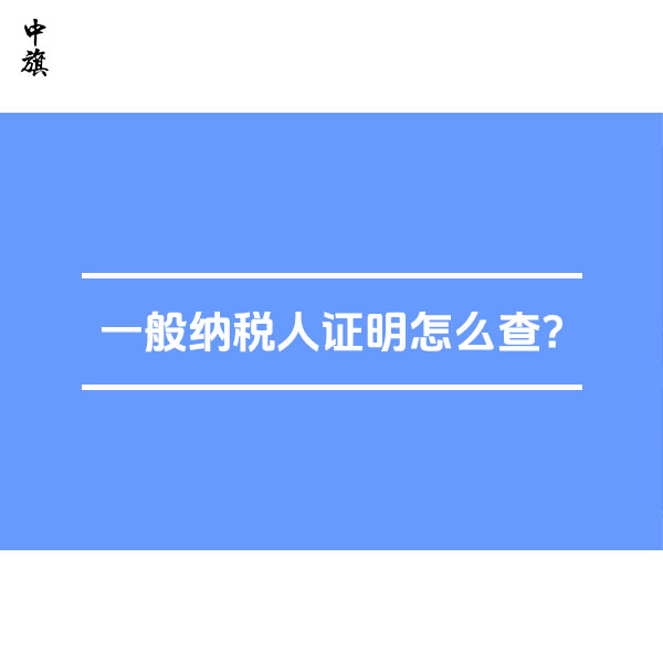 北京一般纳税人证明怎么查？