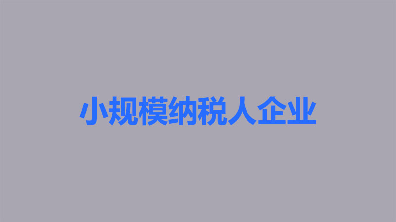 小规模纳税企业.jpg