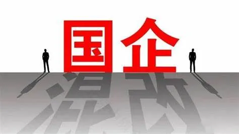 国企示意图.webp